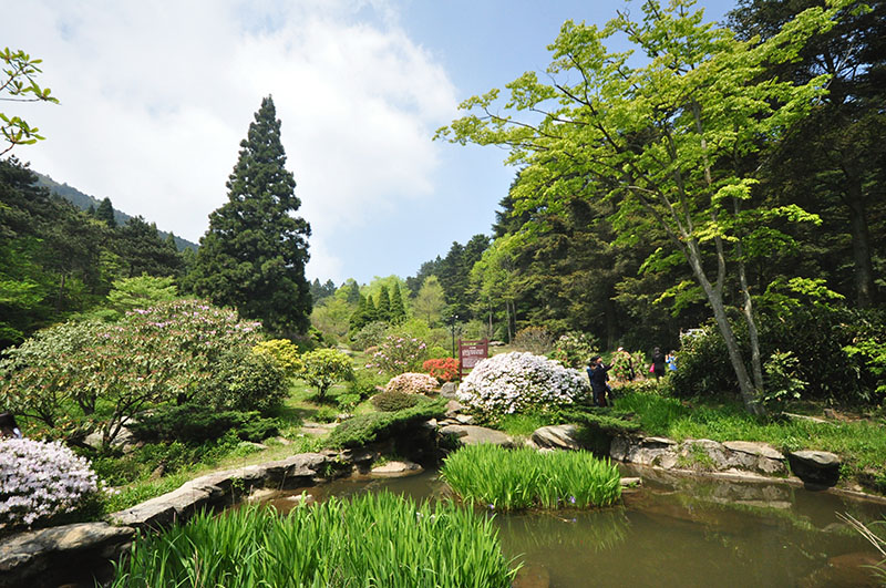 鄉土灌木園