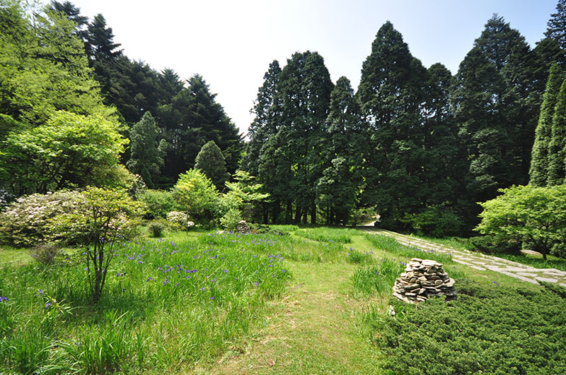 鳶尾區