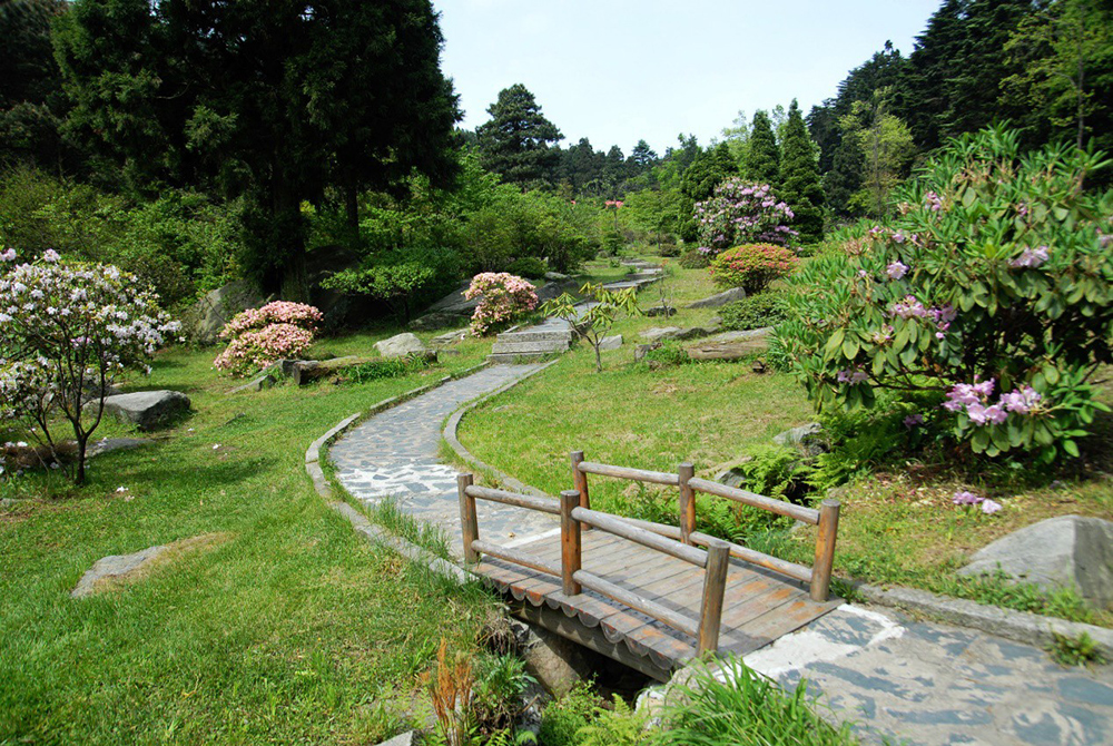 鄉土灌木園