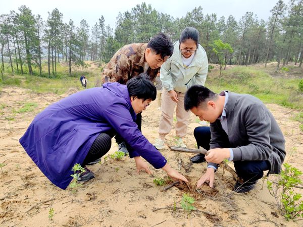 華南國家植物園王瑛研究員考察園地合作環鄱陽湖沙山藥材產業項目